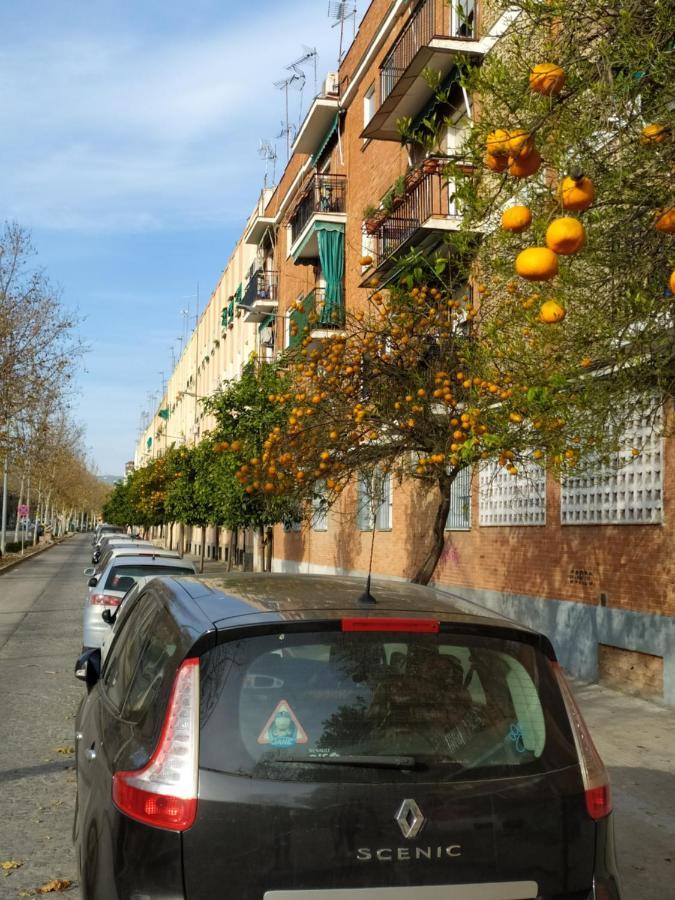 Hotel Apartamento Turistico Córdoba Exteriér fotografie